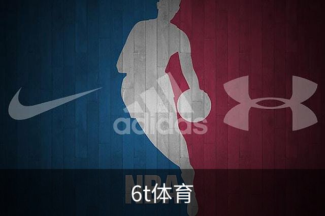 6t体育公司介绍